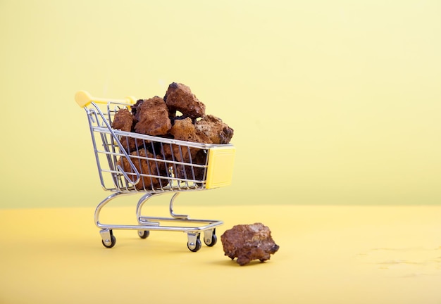 Pedaços de cogumelo chaga em um carrinho de supermercado em um fundo amarelo comida vegetariana saudável copiar spaes