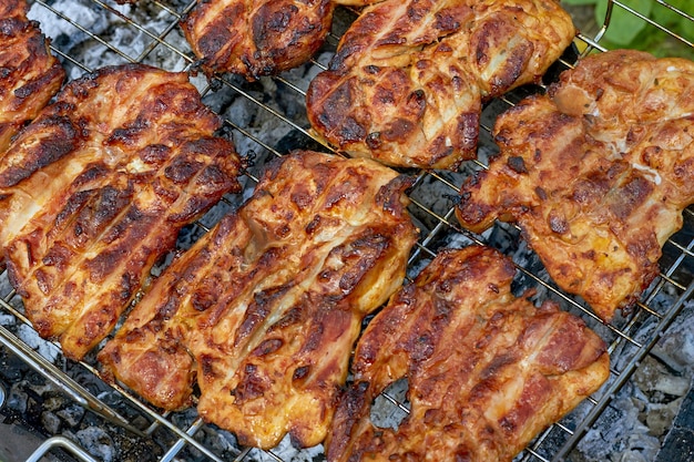 Pedaços de frango apetitosos na grelha sobre brasas