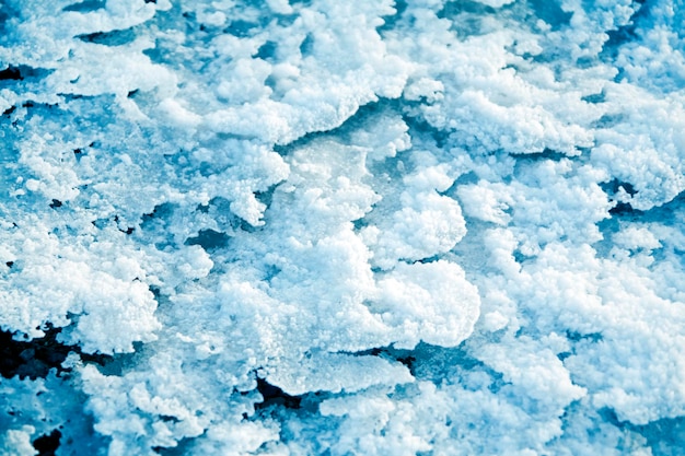 Pedaços de gelo da primavera cobertos com geadas