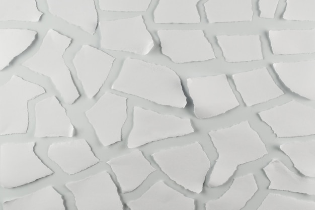 Pedaços de papel branco vazios isolados