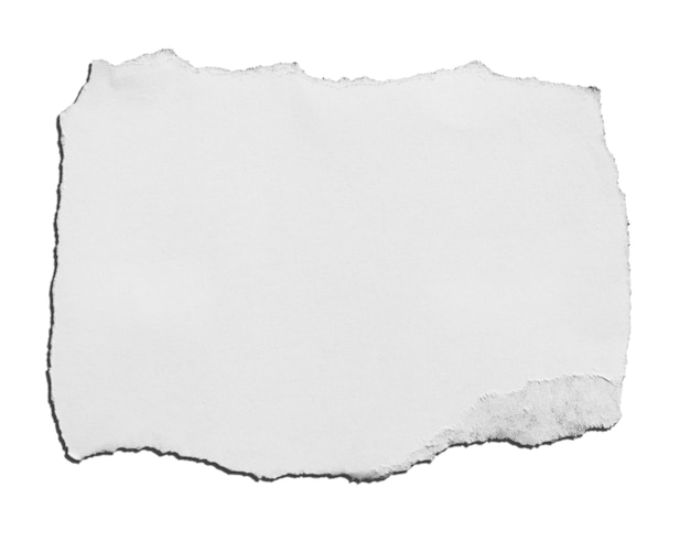 Foto pedaços de papel rasgado em fundo branco com espaço de cópia para o texto