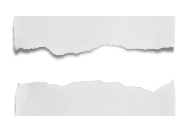 Foto pedaços de papel rasgado em fundo branco com espaço de cópia para o texto