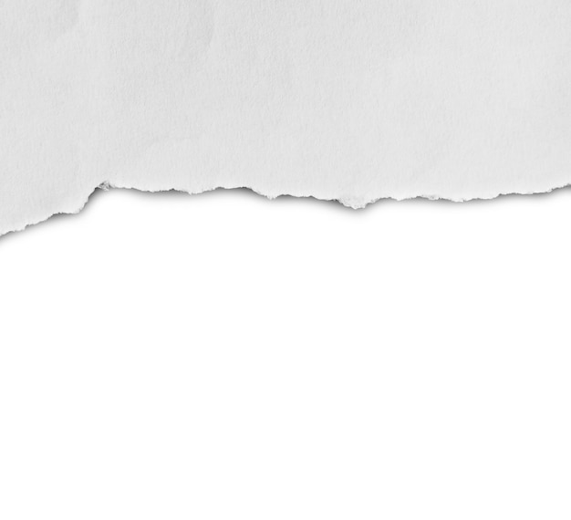 pedaços de papel rasgado em fundo branco com espaço de cópia para o texto