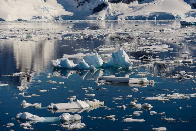 Pedazo de hielo en agua