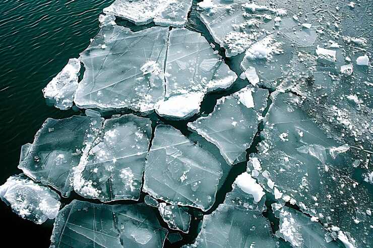 un pedazo de hielo que tiene hielo en él