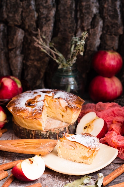 Pedazo de pastel con manzanas en un plato