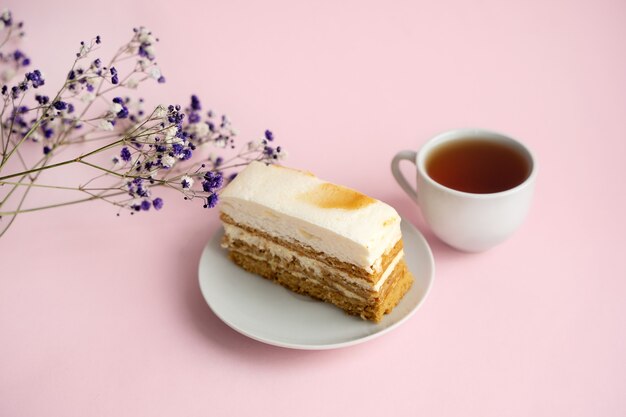 Pedazo de pastel de miel en un plato sobre un fondo rosa aislado, lugar para el texto