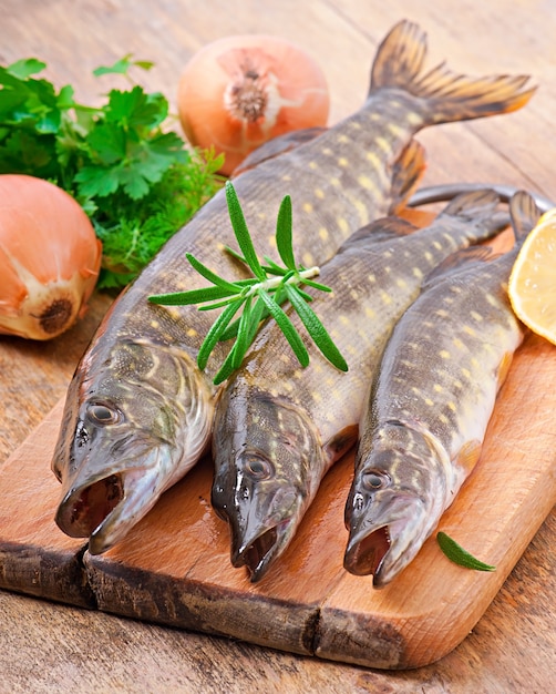 Pedazo de pescado crudo fresco en un tazón