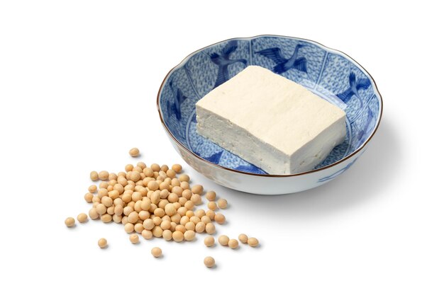 Pedazo de tofu de seda fresco en un cuenco japonés