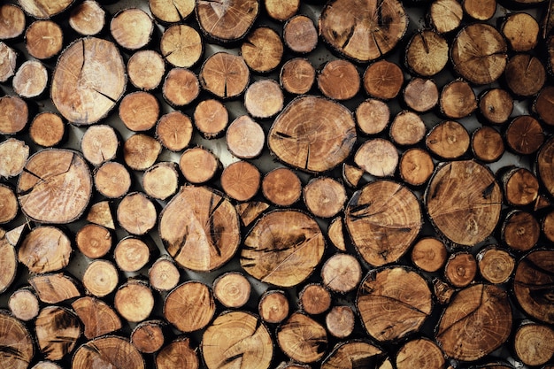 Pedazos de madera en el muro de hormigón, en tonos de color.