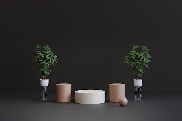 Pedestal Estético com Planta Interna para Exibição de Promoção. renderização 3D.