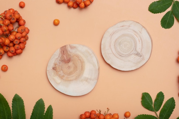 Pedestal de sierra de madera o podio decorado con hojas de rowan y bayas Maqueta de otoño para productos de belleza vista superior plana