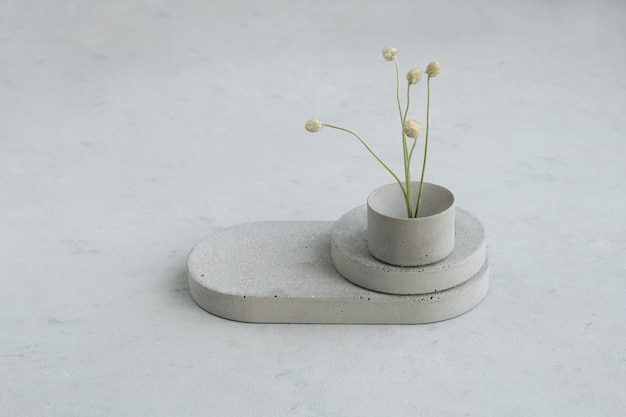 Pedestal vazio ou produto exibir pódio de concreto com flores secas minimalistas e folhas da natureza sobre fundo verde. Brincar. Copie o espaço