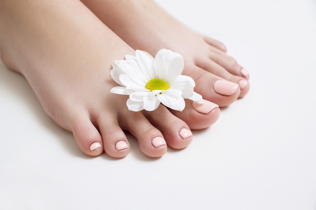 Pedicure bege perfeito em fundo branco. Pés femininos com vista superior de polonês de gel pastel com espaço livre. Resultado do procedimento de salão de spa