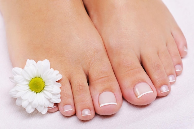 Foto pedicure francesa em pés femininos