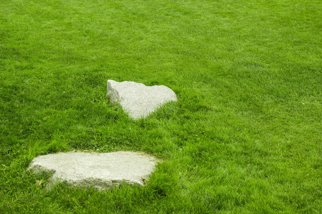 Pedra com fundo de grama verde para o projeto do jardim.