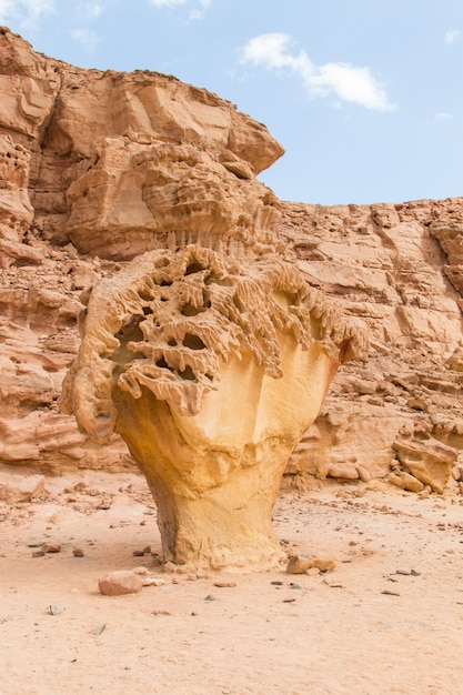 Pedra de cogumelo. Egito, deserto, Península do Sinai, Dahab.