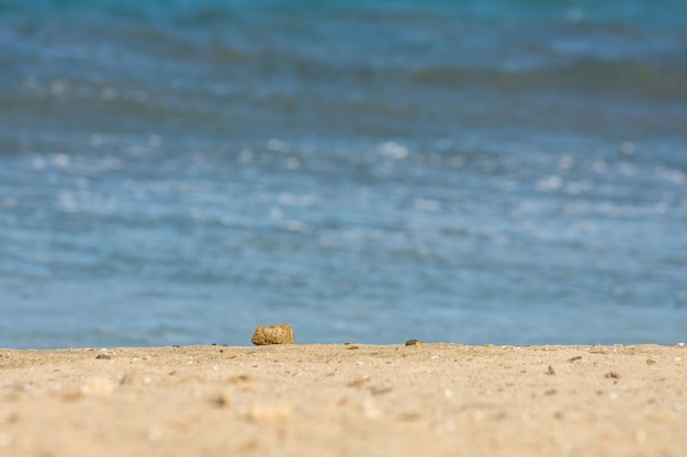 Pedra deitada na praia de areia no mar azul no egito