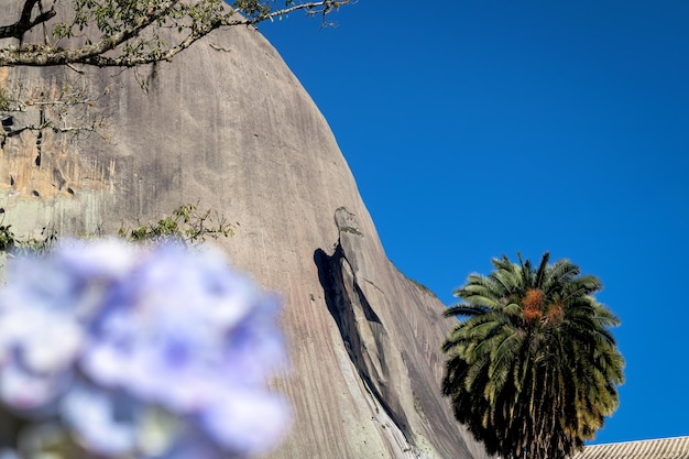 Foto pedra do lagarto in pedra azul domingos martins bundesstaat espirito santo brasilien brasilianischer touristenort komposition mit baum und blume