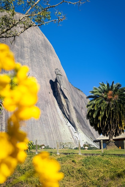 Foto pedra do lagarto in pedra azul domingos martins bundesstaat espirito santo brasilien brasilianischer touristenort komposition mit baum und gelber blume