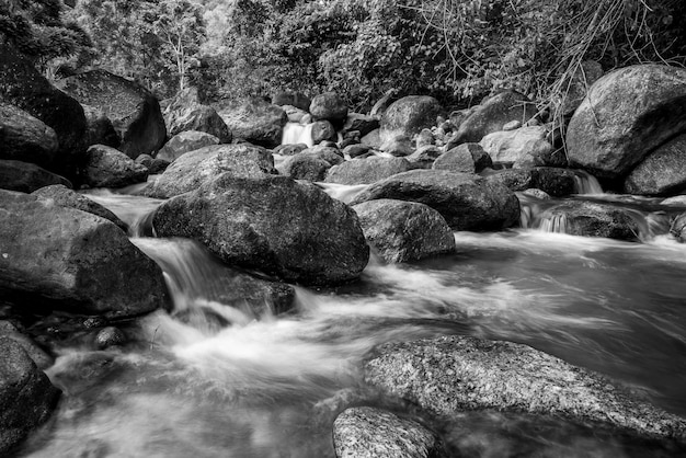 Pedra do rio e cachoeira, árvore de rio de vista água