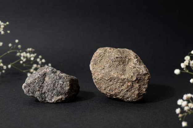 Pedra e flores brancas secas em um fundo preto. Pódio da natureza natural, composição da natureza-morta, estética, visão lateral minimalista