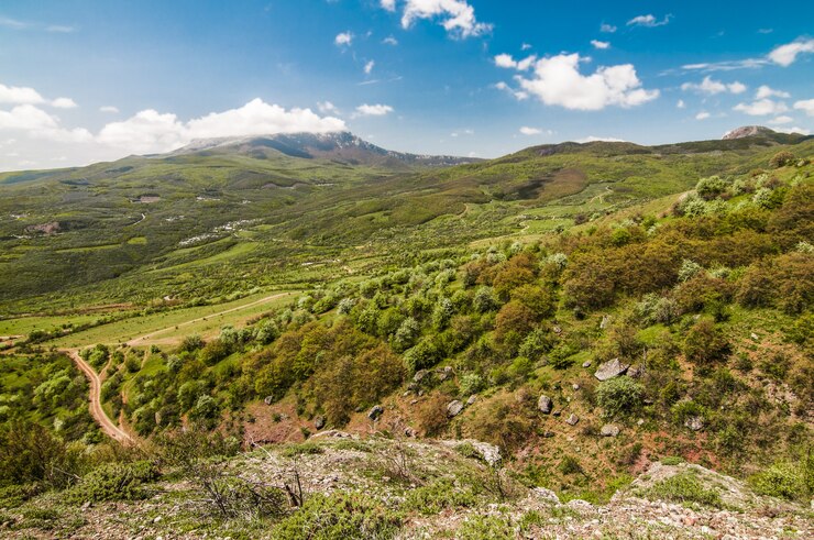 Foto pedra enorme em primeiro plano coberta de musgo, árvores ao lado da montanha, grama verde no vale