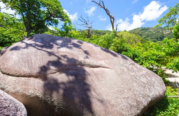 Pedra Grande ou Rock