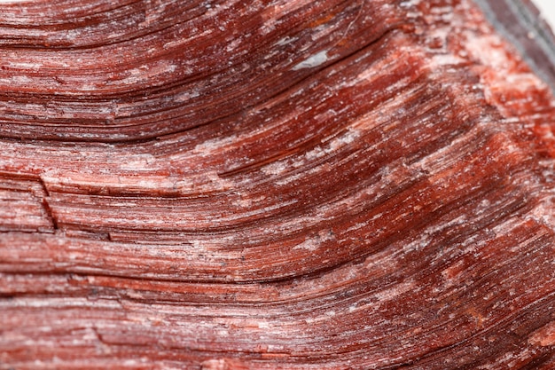 Pedra mineral macro Olho de tigre de olho de boi na raça em um fundo branco