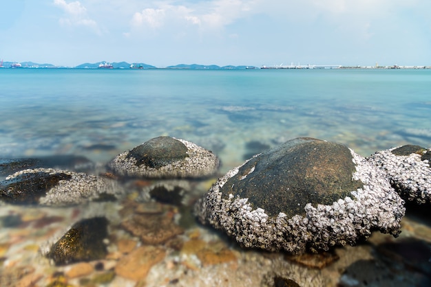 Pedra no mar e onda no tempo da manhã com longa exposição