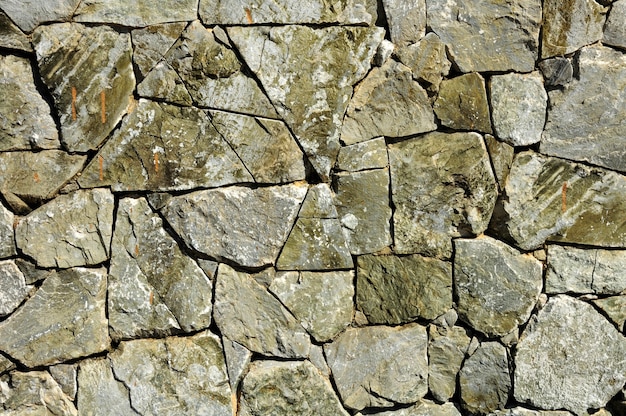 Pedra padrão