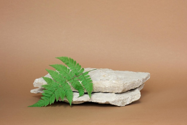 Pedra pódio para promoção fundo bege maquete de exibição de pedestal natural. Folha verde de samambaia de cena