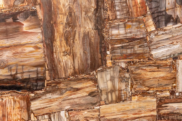 Foto pedra semipreciosa de textura de madeira petrificada para telhas digitais de piso de parede de cerâmica
