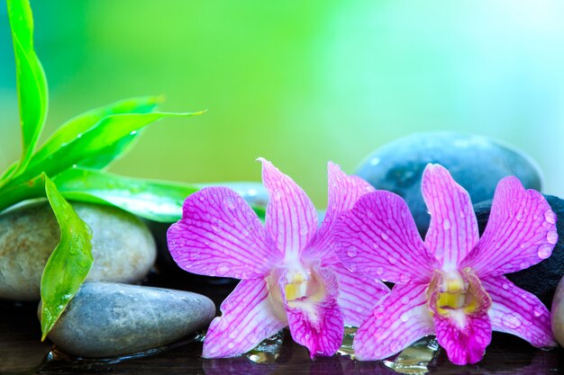 Pedra Zen e orquídea rosa na mesa de madeira com espaço de cópia de texto ou produto