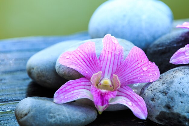 Pedra zen e orquídea rosa na mesa de madeira com espaço de cópia para texto ou produto