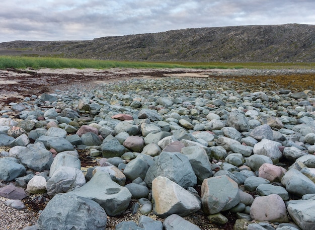 Pedras azuis e rosa na costa do Mar de Barents, Finnmark, Noruega