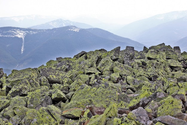Pedras cobertas de musgo e líquen no topo das montanhasxA