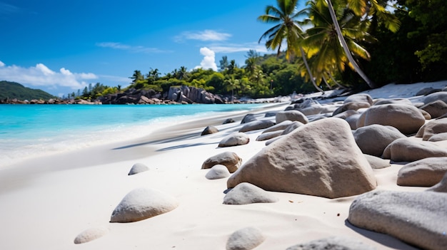 Pedras costeiras sobre a areia branca da praia de Anse Lazio