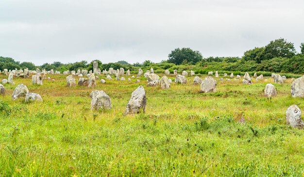 Foto pedras de carnac na bretanha