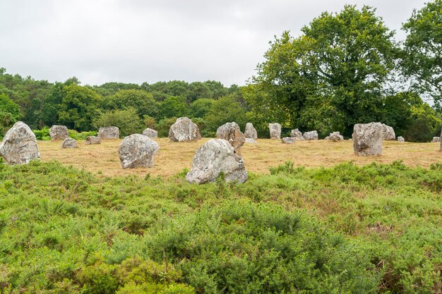 Foto pedras de carnac na bretanha