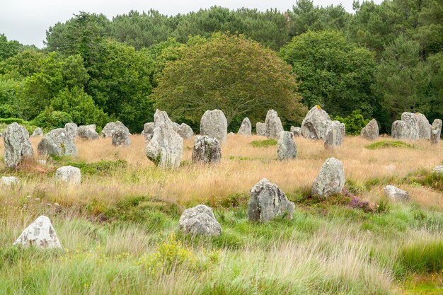 Pedras de carnac na bretanha