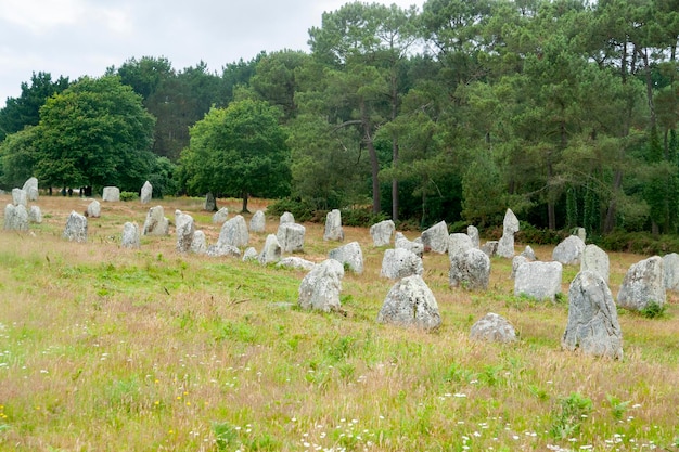 Foto pedras de carnac na bretanha