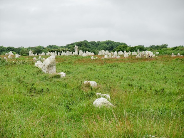 Foto pedras de carnac na bretanha