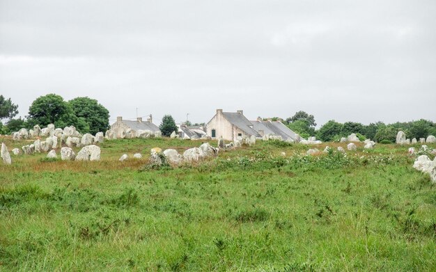 Pedras de carnac na bretanha