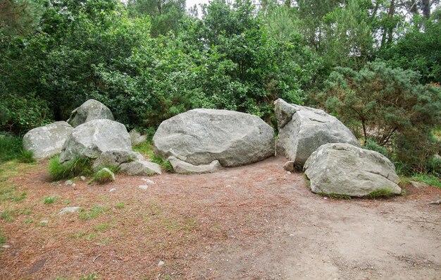 Foto pedras de carnac na bretanha