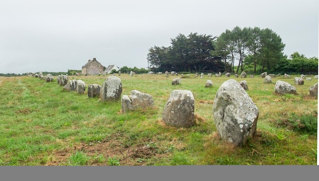 Foto pedras de carnac na bretanha