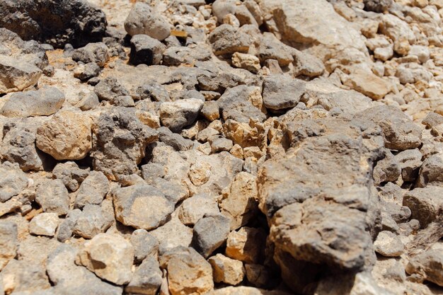 pedras de foco seletivo praia de luz solar