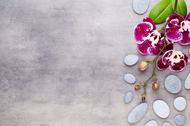 Foto pedras de orquídea e spa em uma cena de pedra spa e poço