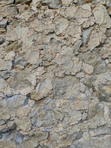 Pedras de parede natural em uma floresta com similitudes de fundo ou uso digital