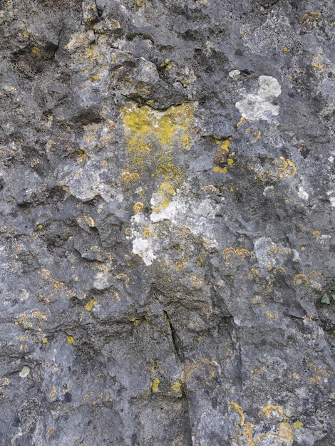 Foto pedras de parede natural em uma floresta com similitudes de fundo ou uso digital